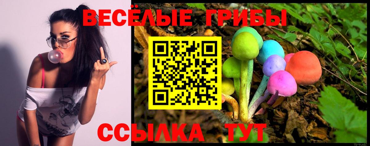 Псилоцибиновые грибы мицелий  Вход с VPN  Советская Гавань  Псилоцибиновые грибы Psilocybine cubensis 