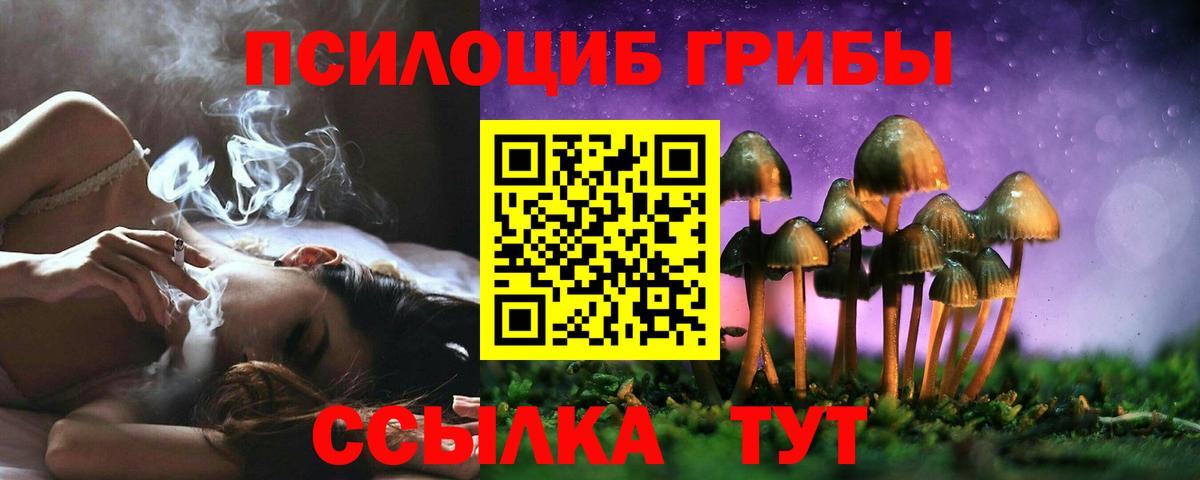 Псилоцибиновые грибы GOLDEN TEACHER Советская Гавань